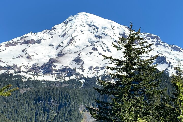 Mt. Rainier from the southside